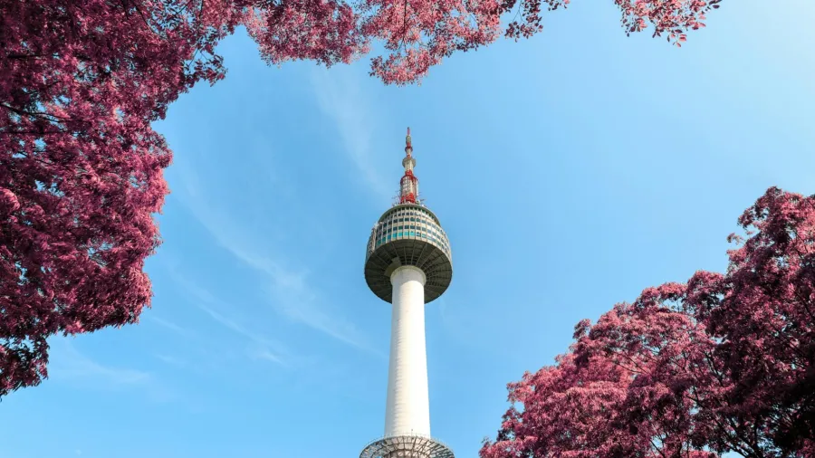 Photo by Apasaric via Pexels.