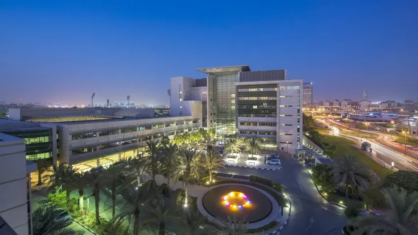 Photo from Mayo Clinic website