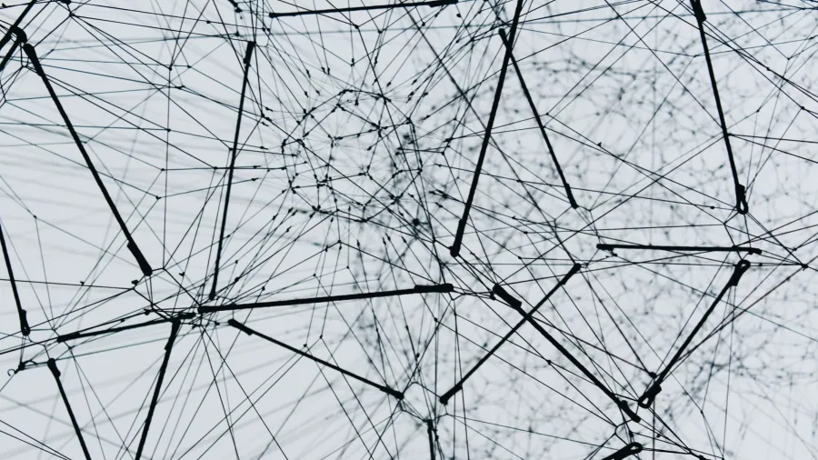 Photo by Alina Grubnyak via Unsplash.