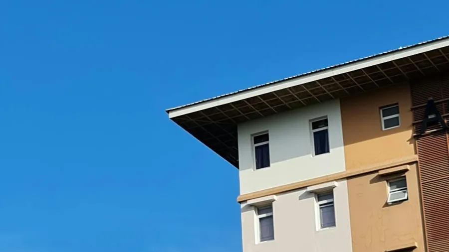 Photo by Harvey Moe Hein via Pexels