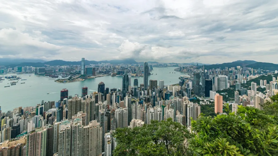 Photo by Jimmy Chan on Pexels