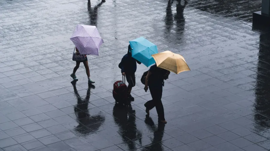 /Ryoji Iwata from Unsplash