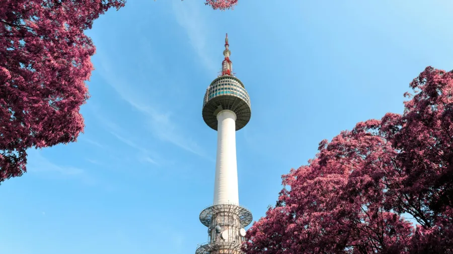 Photo by Apasaric via Pexels.