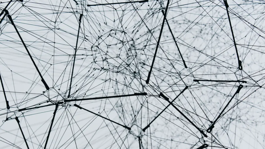 Photo by Alina Grubnyak via Unsplash.