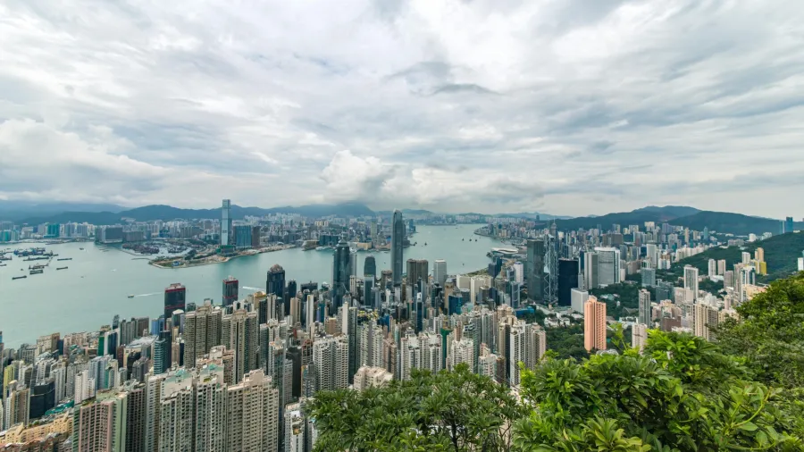 Photo by Jimmy Chan from Pexels