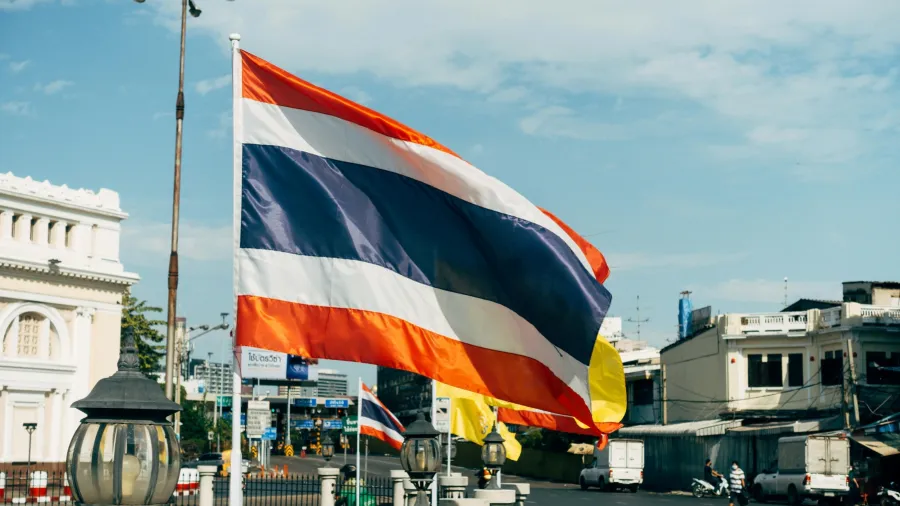 Photo by Markus Winkler via Pexels