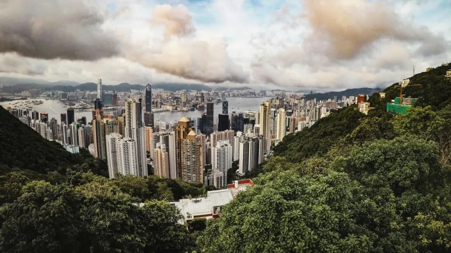 Photo by Matheus Köhler on Pexels
