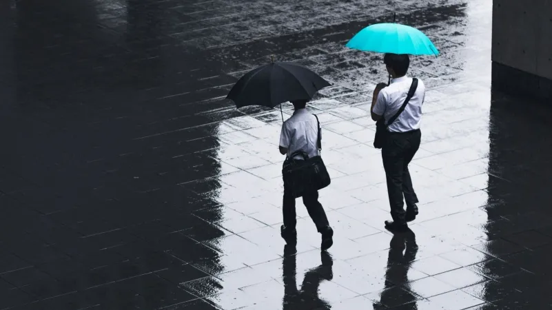 /Ryoji Iwata from Unsplash