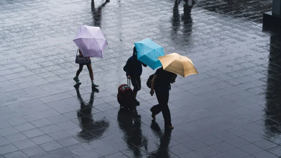 /Ryoji Iwata from Unsplash