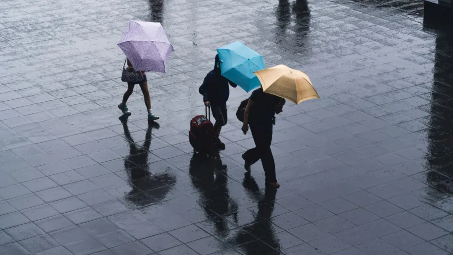 /Ryoji Iwata from Unsplash
