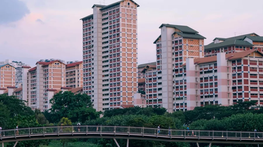 Photo from Pexels by Soloman Soh.