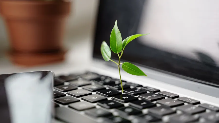 Photo from Envato Elements
