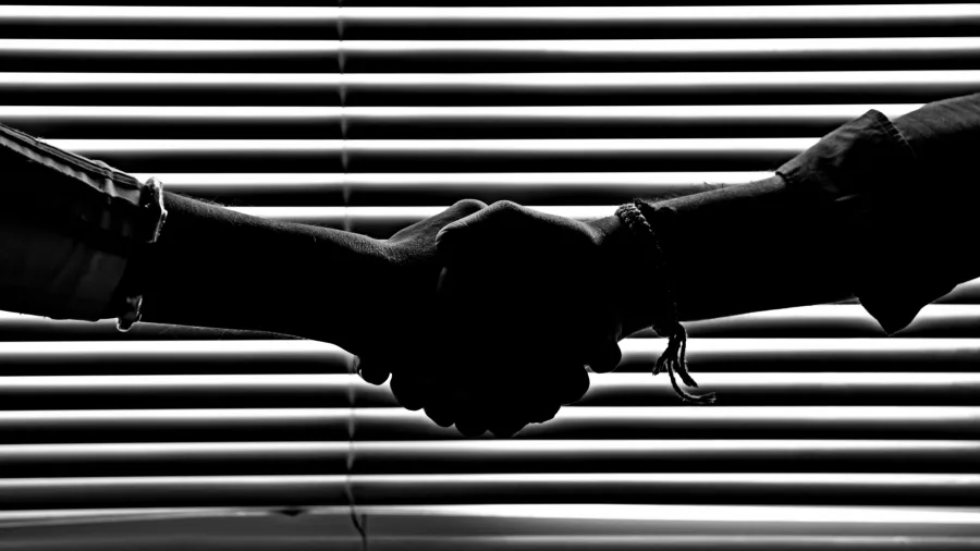Photo by Savvas Stavrinos via Pexels
