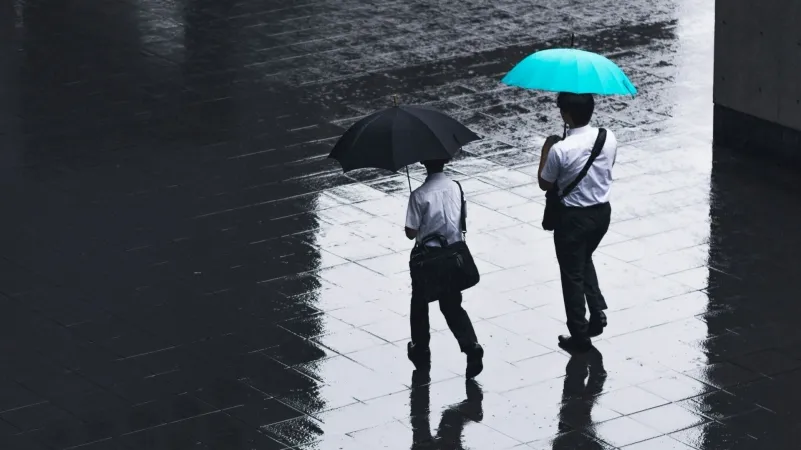 /Ryoji Iwata from Unsplash