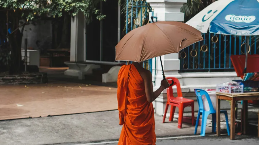 /Aleksandra b from Unsplash