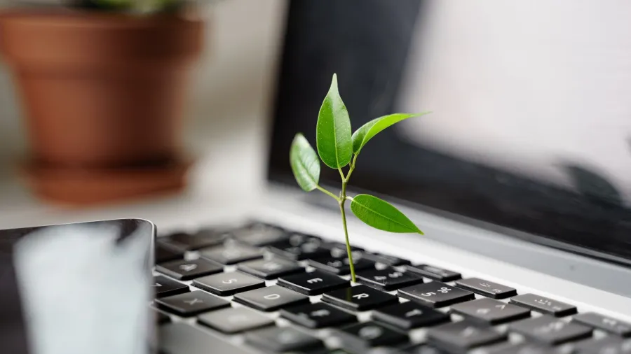 Photo from Envato Elements
