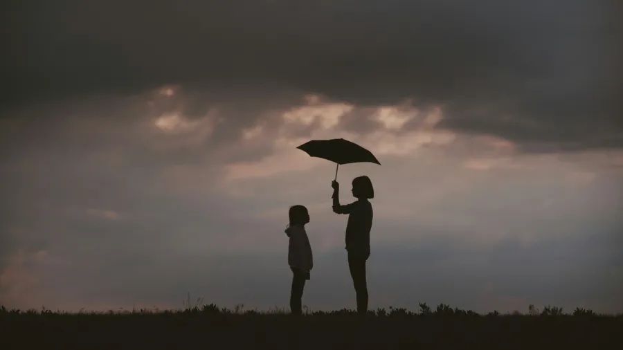/JW Ju from Unsplash
