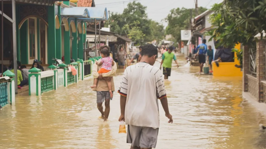 /Misbahul Aulia from Unsplash