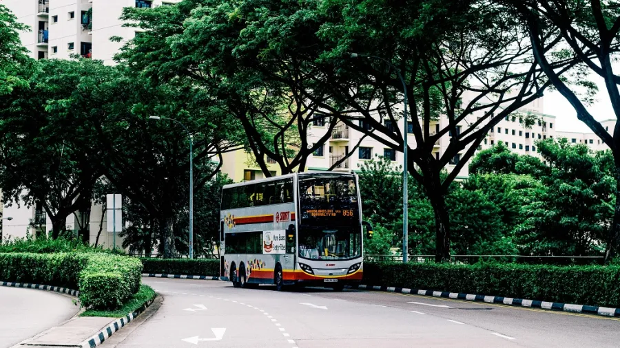 Photo by ALAMEEN A-DAE from Pexels