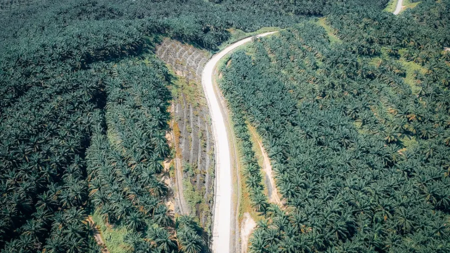 Photo by Pok Rie via Pexels