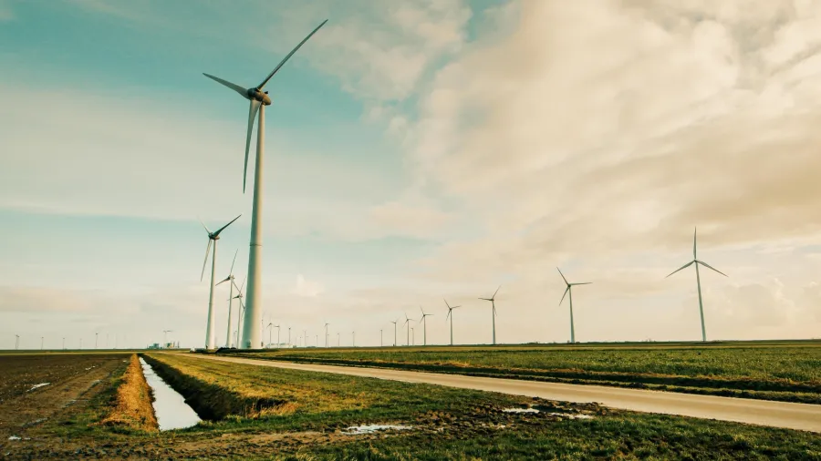 Photo by Tom Swinnen via Pexels