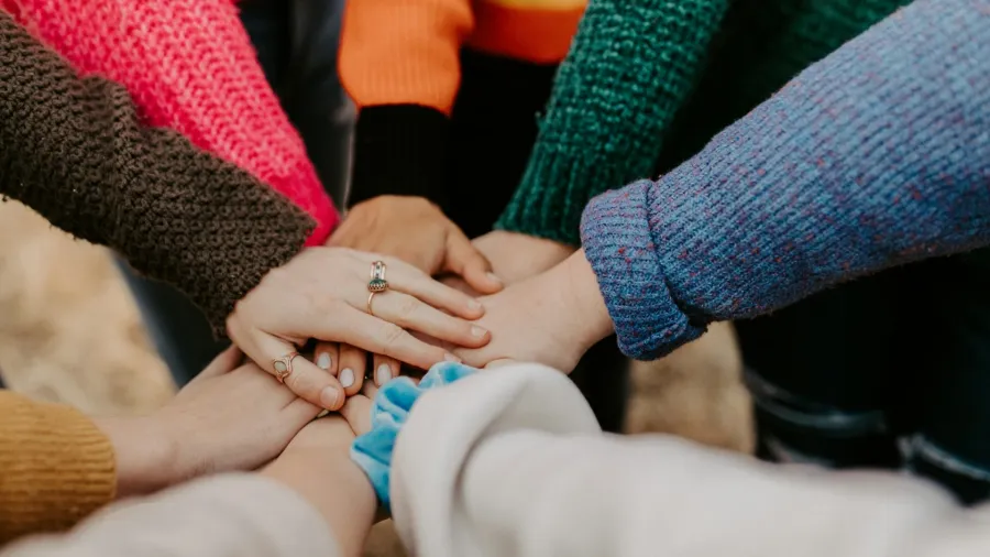 Hannah Busing via Unsplash.