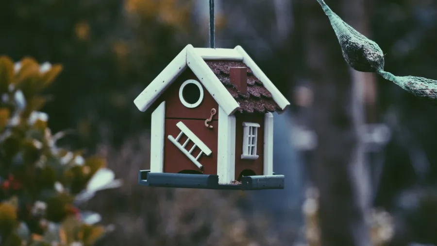 Photo from Unsplash by Harper van Mourik.