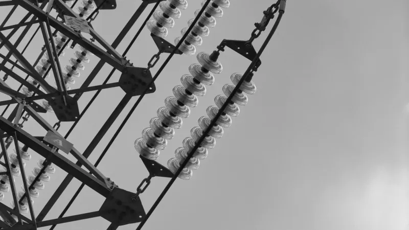 Photo by Takeshi Arai via Pexels