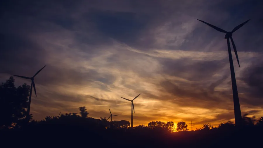 Photo by Irina Iriser via Pexels