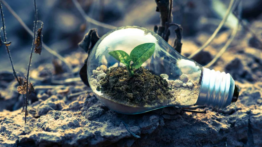 Photo by Singkham via Pexels