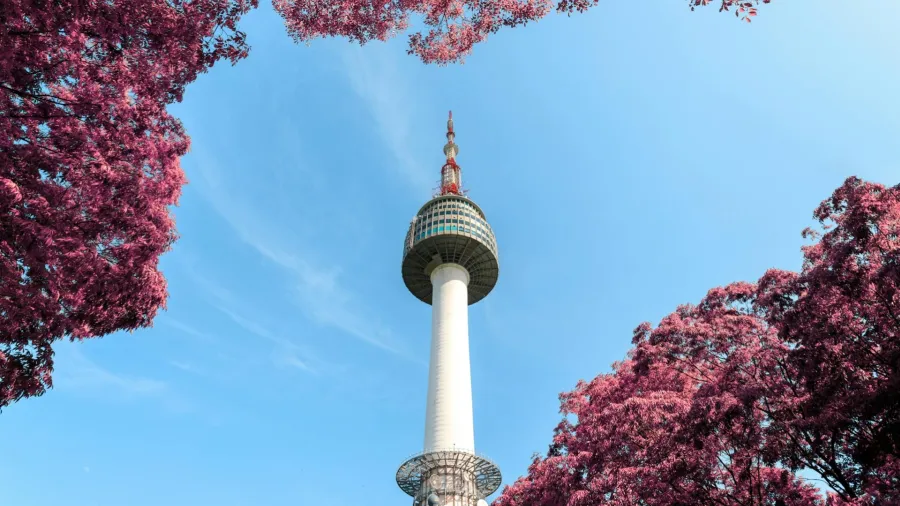 A Pasaric via Pexels.