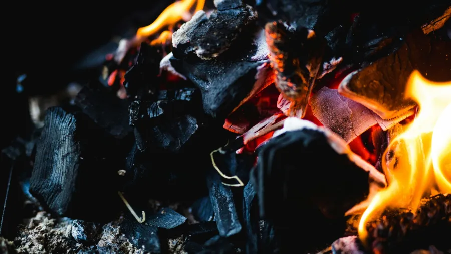 Photo by Heiner via Pexels