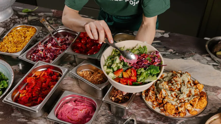 Press photo / The Salad Project