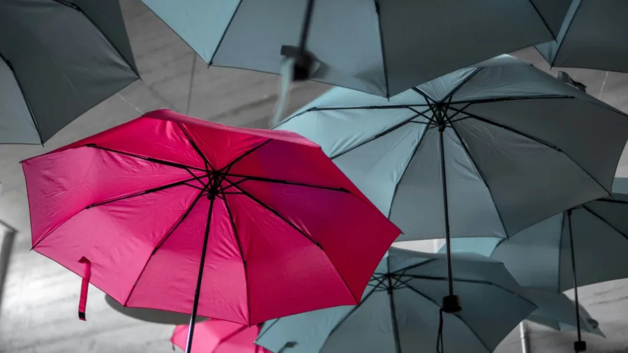/Noah Naf from Unsplash