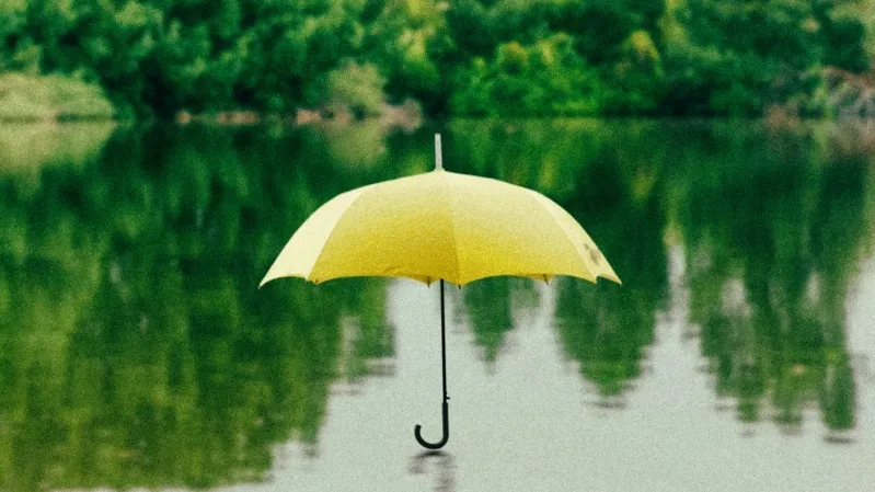 /Saffu from Unsplash