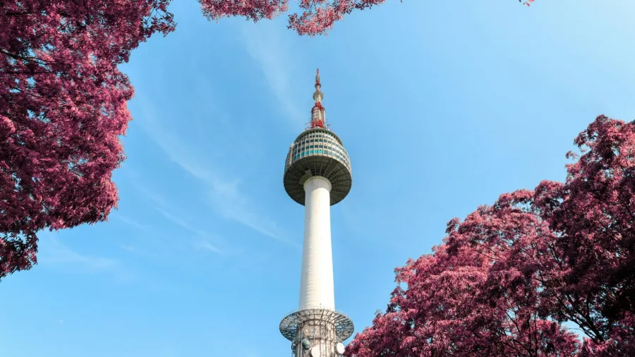 A Pasaric via Pexels.