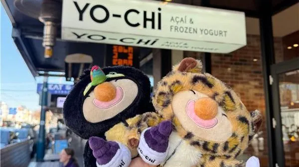 Photo from Yo-Chi Frozen Yogurt LinkedIn.