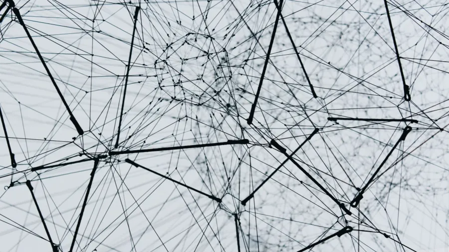 Alina Gubnyak via Unsplash.
