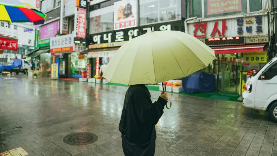 /Cknguyen from Pexels