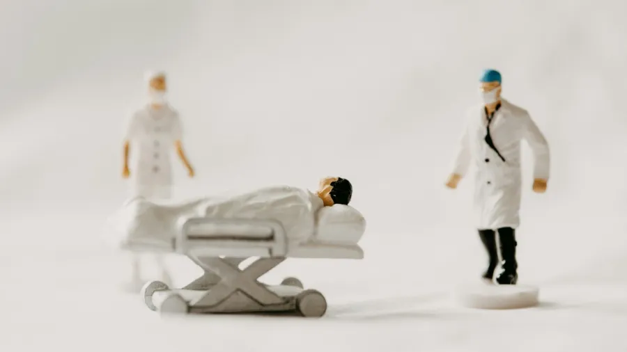 /Annie Spratt from Unsplash