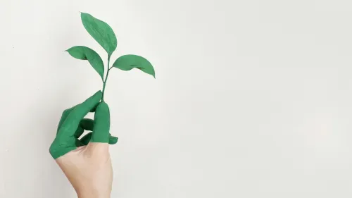 Fossil fuel output fuels over 120 million tonnes of energy sector emissions annually