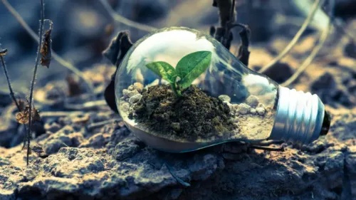 Nature solutions still most low-cost, high-impact decarbonisation approach: report