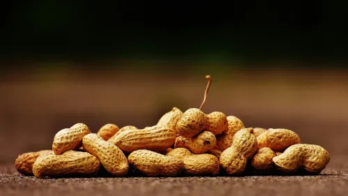 Chocolate maker Mars invests $5m as part of 'Protect the Peanut Plan'