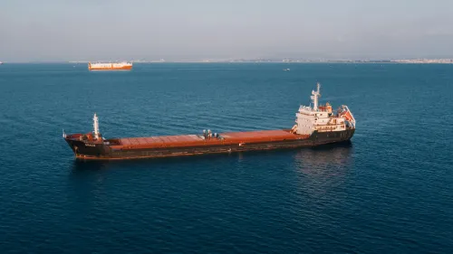 What drove hull premium performance last year?