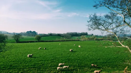 Government announces new farming innovation investment in the UK