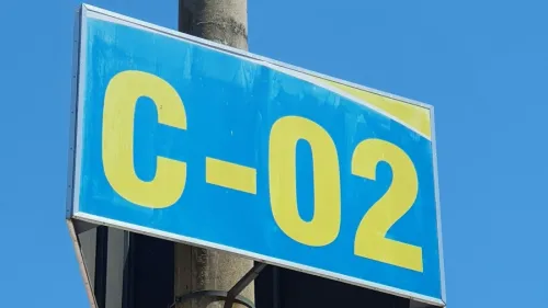 Carbon emissions ratio to world GDP slides 1.6% in 2024: Fitch Ratings 