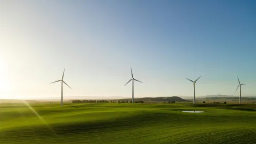 Carbon tax, green imports raise cost, compliance risks