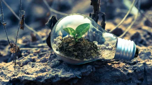 Climate transition plans lack depth despite net-zero pledges: EY