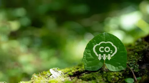 SG-Indonesia pact builds climate finance plan for carbon credits 