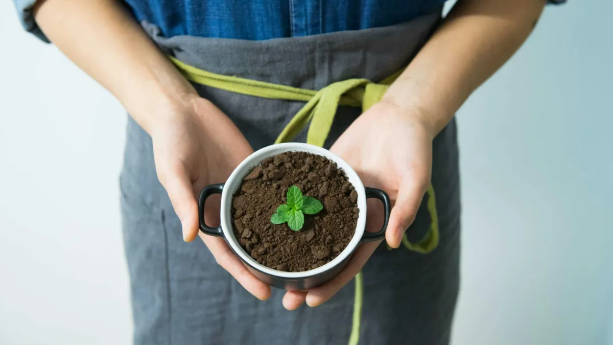 Around 4 in 10 CEOs rank positive environmental impact as top priority